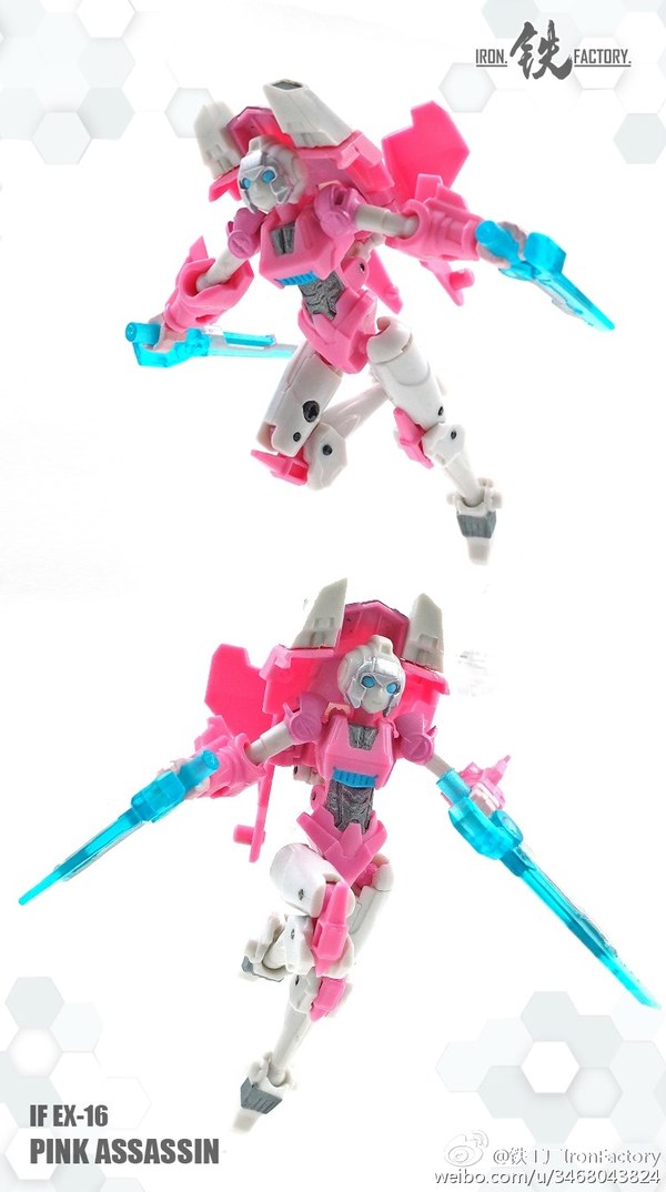 Iron Factory EX 16 Pink Assassin Unofficial Legends Scale IDW Style Arcee Color Photos  (5 of 9)